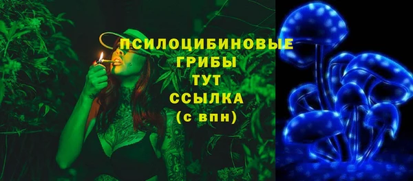 тгк Михайловск
